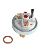 Controlador seguridad de agua- CHAPPEE - SRN562034