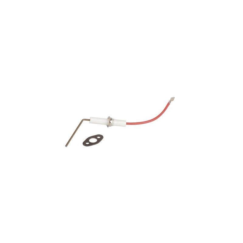 Electrodo de ionización- CHAPPEE - SRN654272