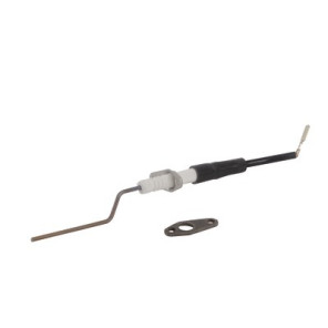 Electrodo de ionización- CHAPPEE - SRN692366