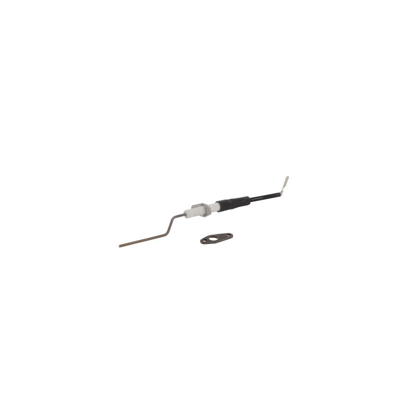 Electrodo de ionización- CHAPPEE - SRN692366