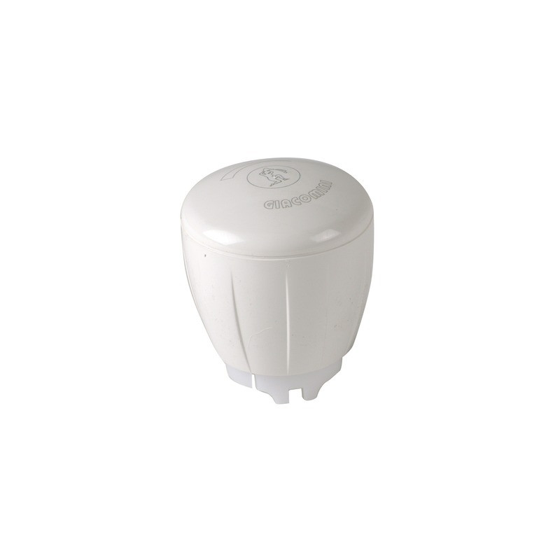 Cabezal manual R450TG- GIACOMINI - R450X012