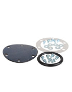 Kit de servicio de limpieza- AOSMITH - 0301125(S)