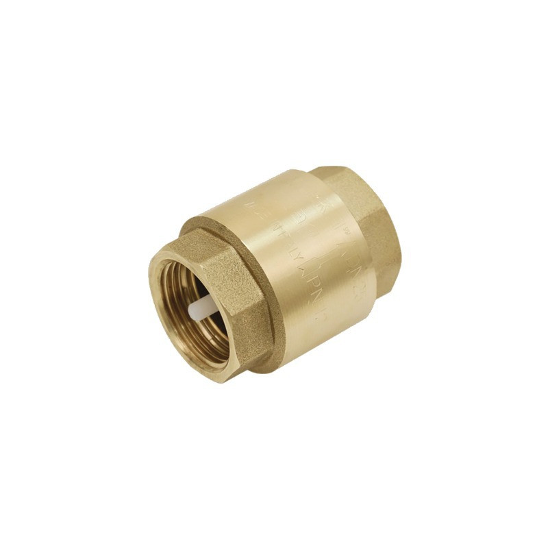 Válvula retencion cualquier posicion de latón obturador nilón 1/2"- DIFF - 110237