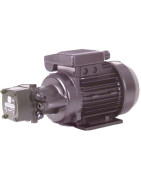 Grupo de trasiego baja presión GAPA J6 BP- DIFF - 309042