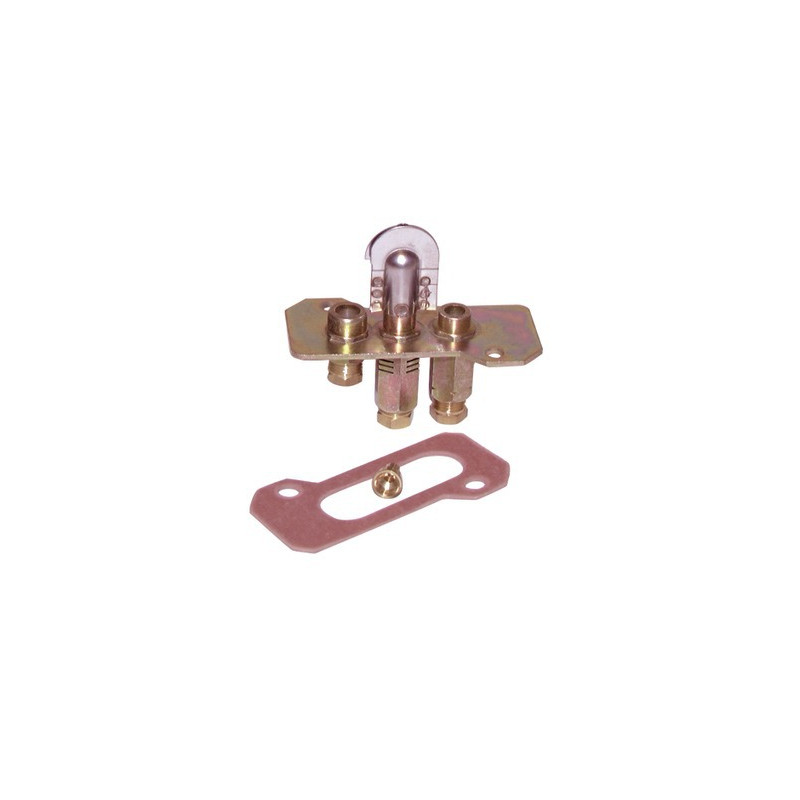 Piloto e inyector POLIDORO 481CF- DIFF pour Zaegel Held - A684239