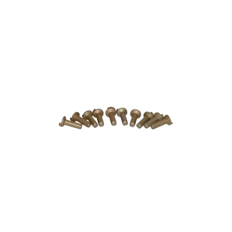 Inyector piloto- CHAFFOTEAUX - 61004714  - (X10)