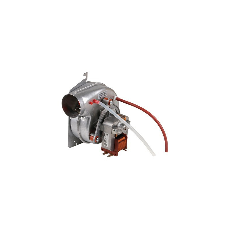 Extractor- FERROLI - 39819310