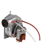 Extractor- FERROLI - 39819310