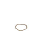 Arandela elástica acero inoxidable- GEMINOX - 87168006920 Arandela elástica acero inoxidable- GEMINOX - 87168006920